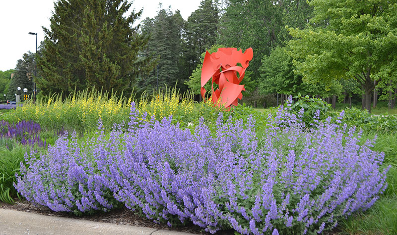 Lurie-Garden-native-plants