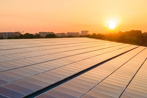 Solar panels at sunrise