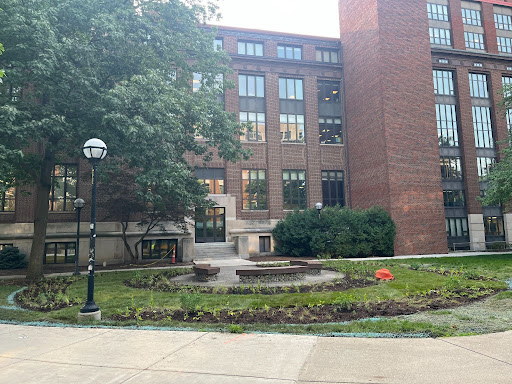 Image of a native pollinator space near the Diag.